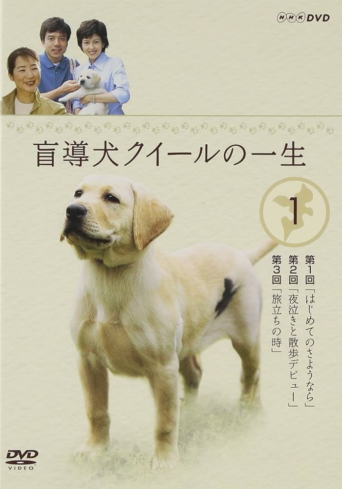 沢口靖子『盲導犬クイールの一生』レンタル落ちDVD★全巻 盲導犬クイールの一生 1/沢口靖子